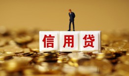 东莞生意哪里可以民间借贷-东莞生意私人借钱当天拿钱-东莞生意贷款联系电话