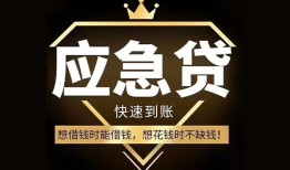东莞生意本地私借-东莞生意贷款当天放款-东莞生意私人身份证借私借